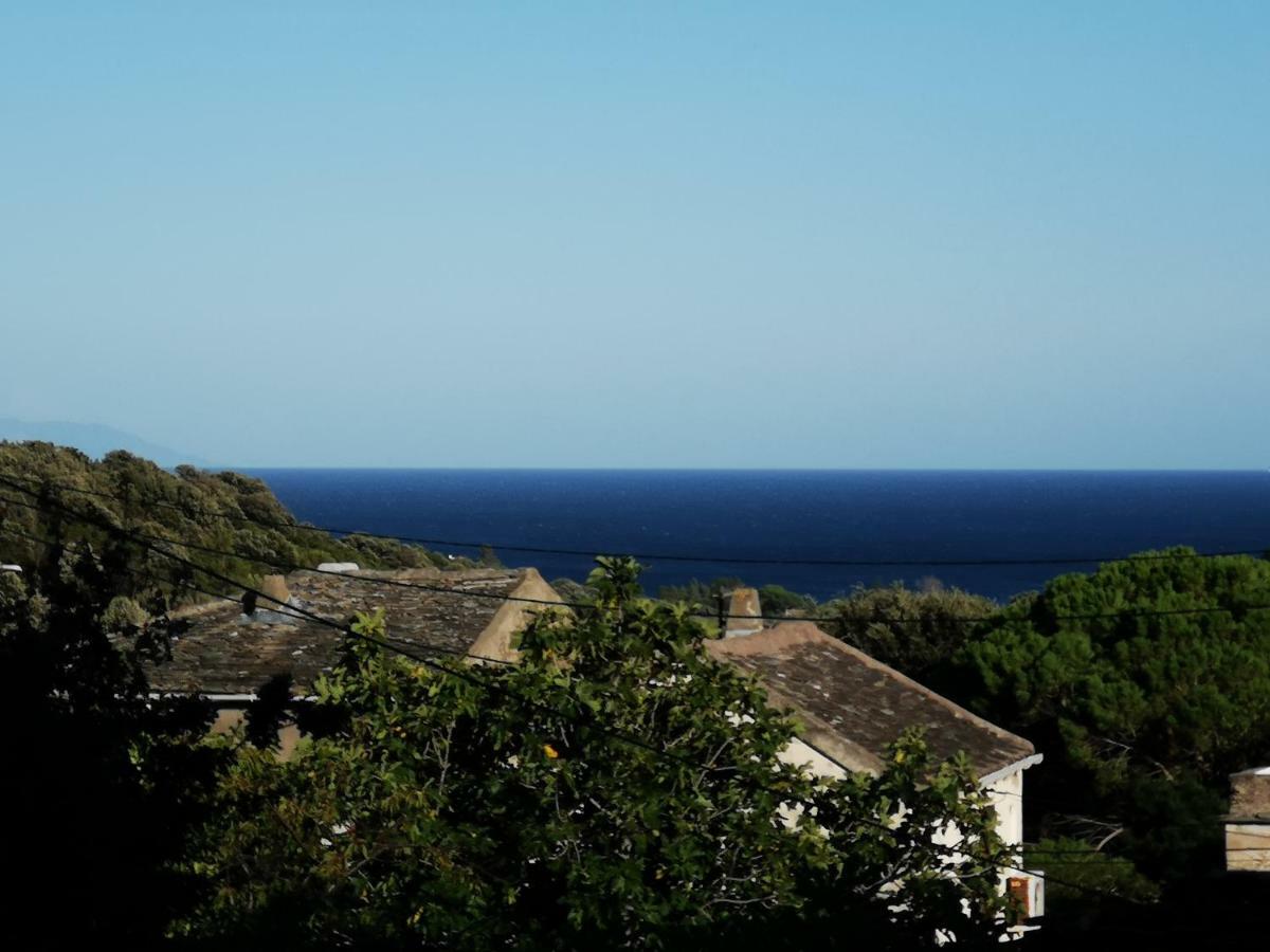 Maison De Village A 2 Km De La Mer Sisco Cap Corse 15 Kms Bastia Exteriér fotografie