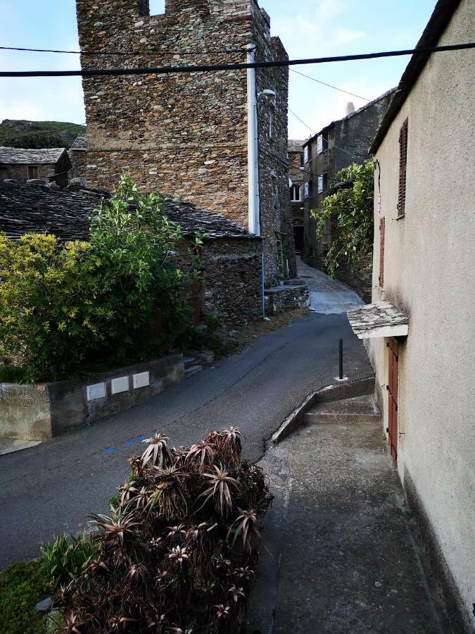 Maison De Village A 2 Km De La Mer Sisco Cap Corse 15 Kms Bastia Exteriér fotografie