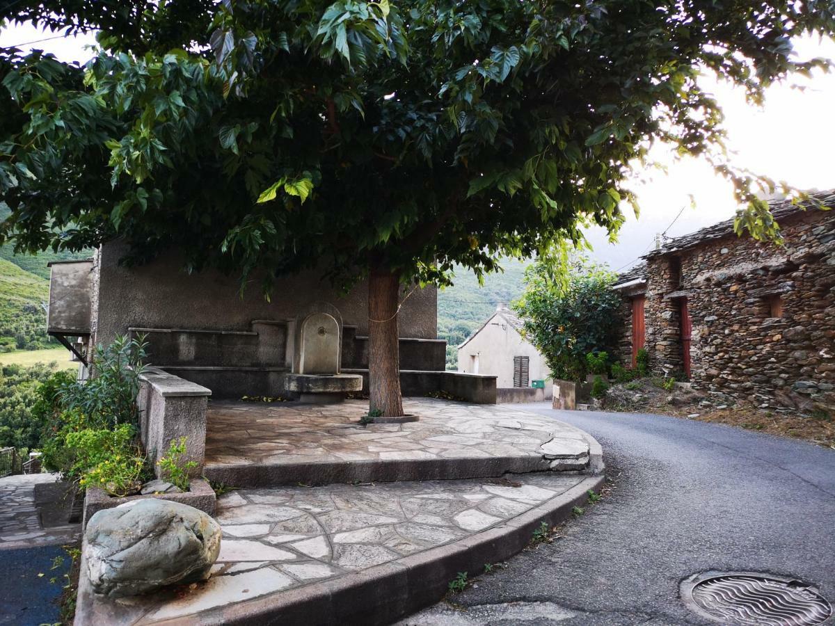 Maison De Village A 2 Km De La Mer Sisco Cap Corse 15 Kms Bastia Exteriér fotografie