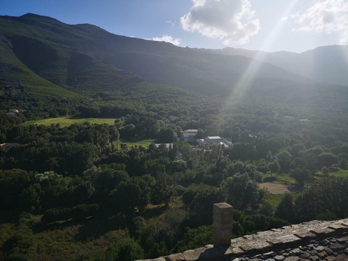 Maison De Village A 2 Km De La Mer Sisco Cap Corse 15 Kms Bastia Exteriér fotografie